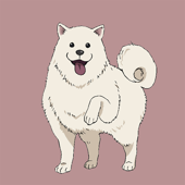 fena-pirateprincess-1018.png