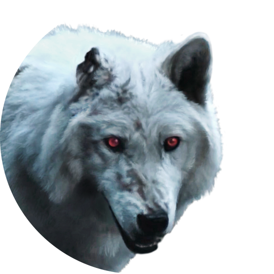 8.png