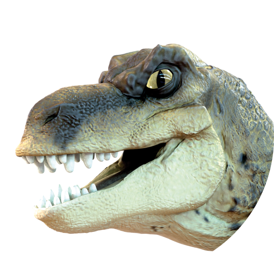 6.png