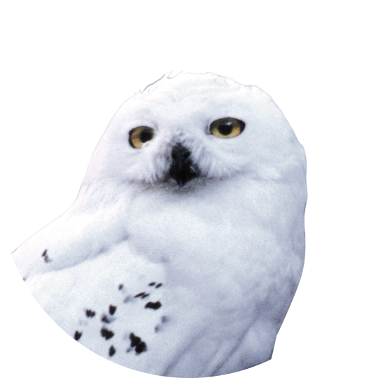 14.png