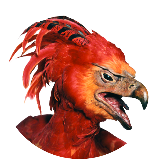 15.png