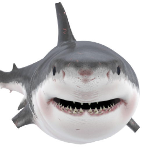 1.png