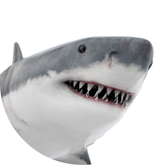 7.png