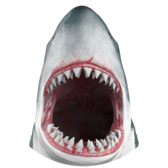 8.png