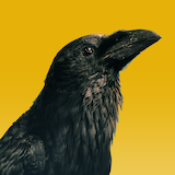 matthew.png