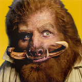 nivellen.png